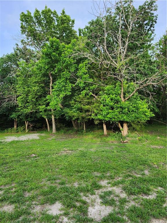 Listing Photo MLS #HMS2622667
