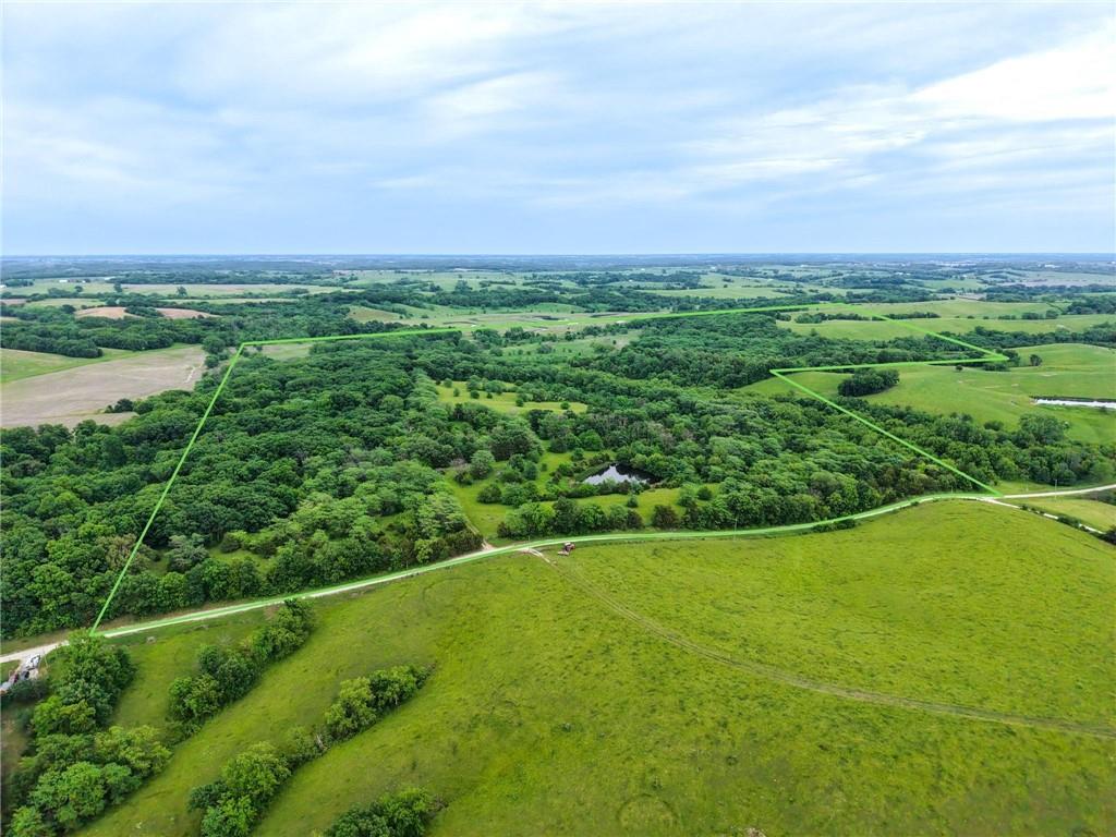 Listing Photo MLS #HMS2622889