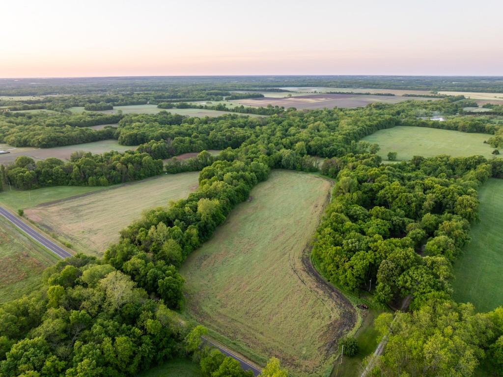 Listing Photo MLS #HMS2622965