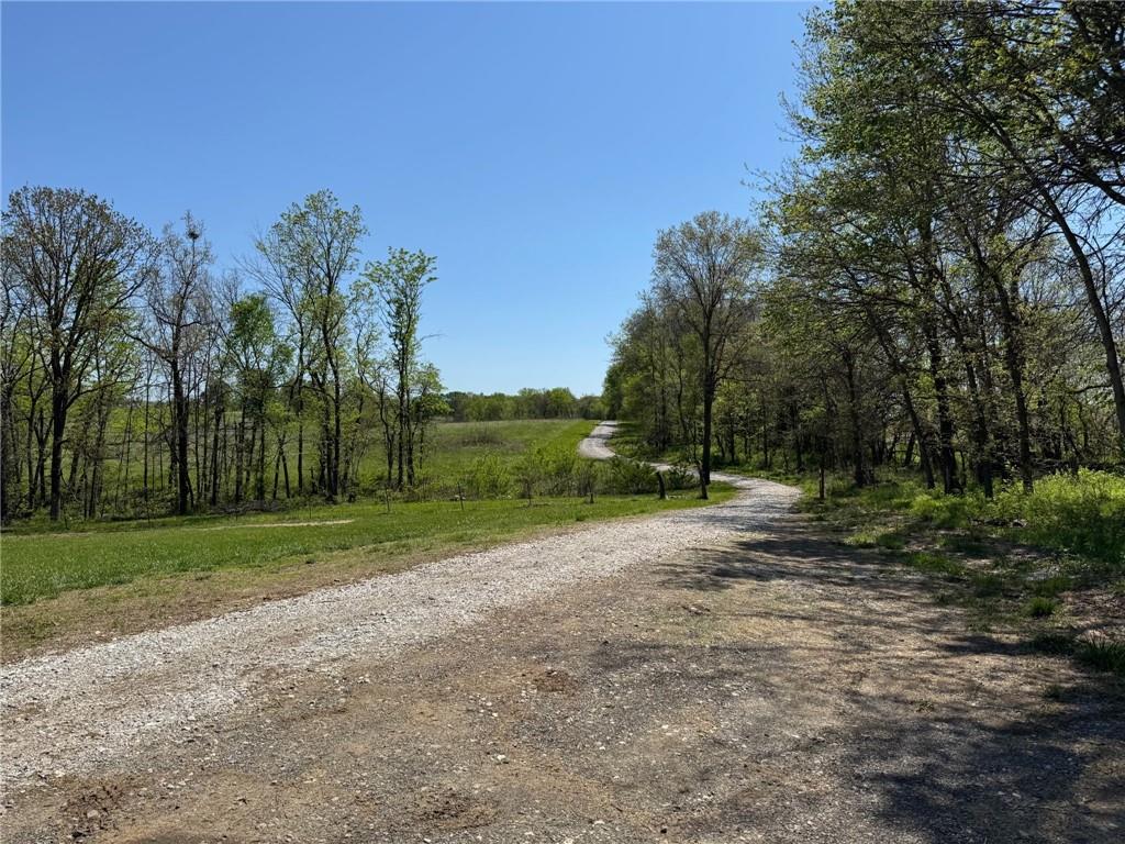 Listing Photo MLS #HMS2623065