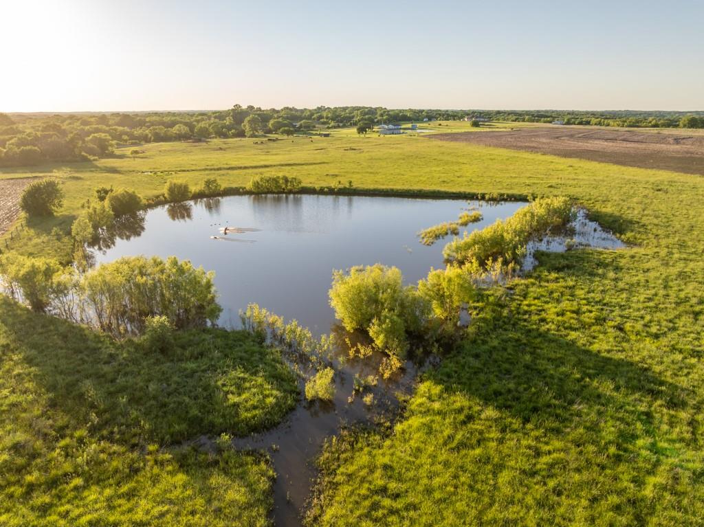 Listing Photo MLS #HMS2623651