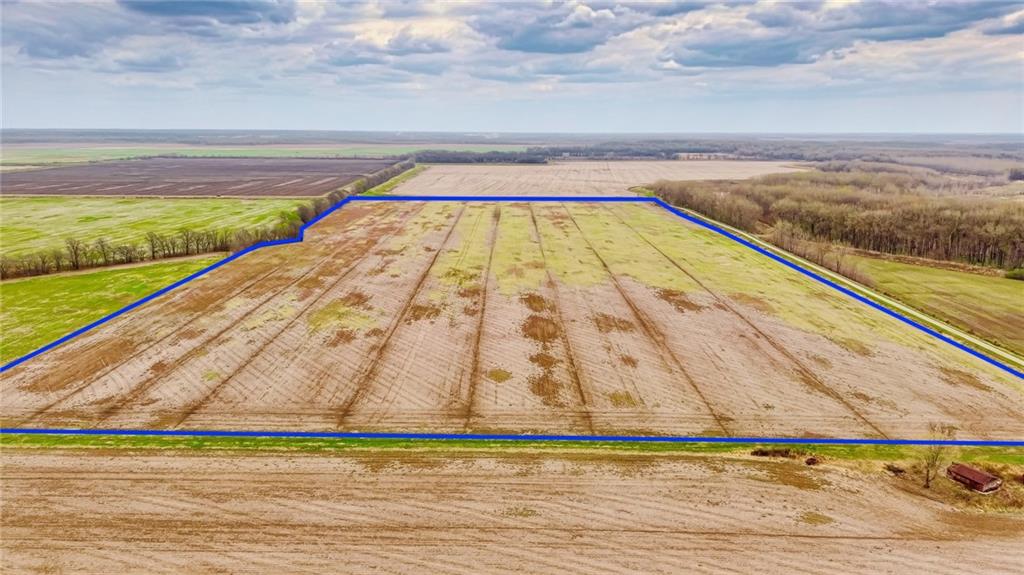 Listing Photo MLS #HMS2624291