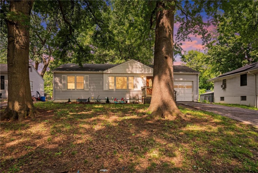 Listing Photo MLS #HMS2624554