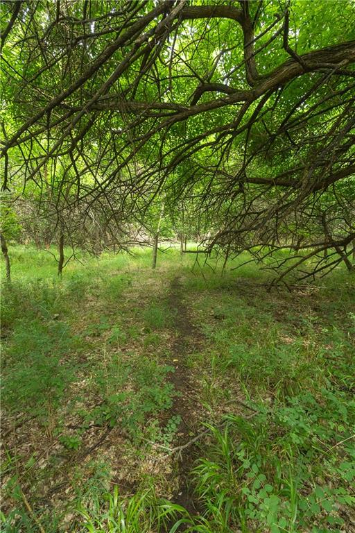 Listing Photo MLS #HMS2624621