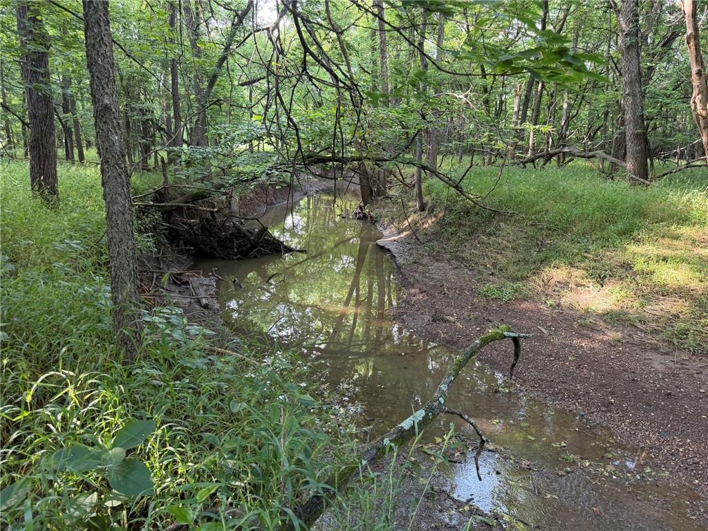 Listing Photo MLS #HMS2625146