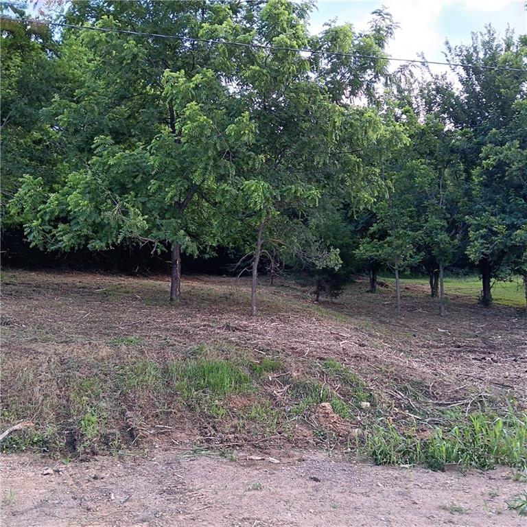 Listing Photo MLS #HMS2625158