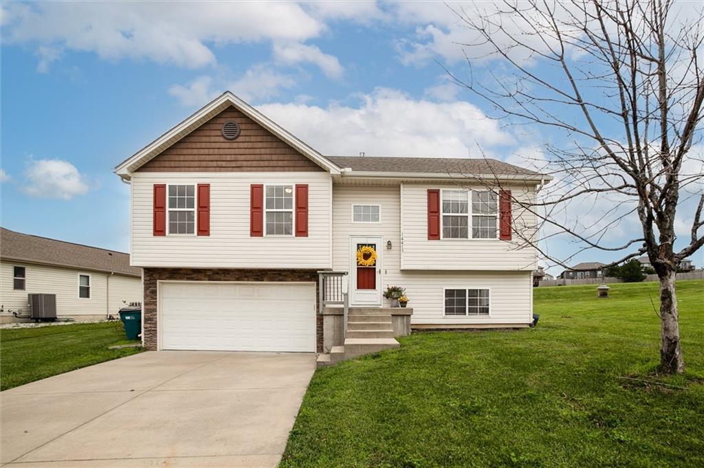 Listing Photo MLS #HMS2625748