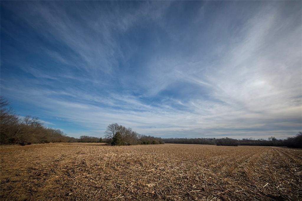 Listing Photo MLS #HMS2626010