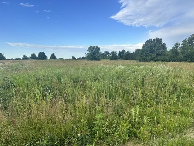 Listing Photo MLS #HMS2626292