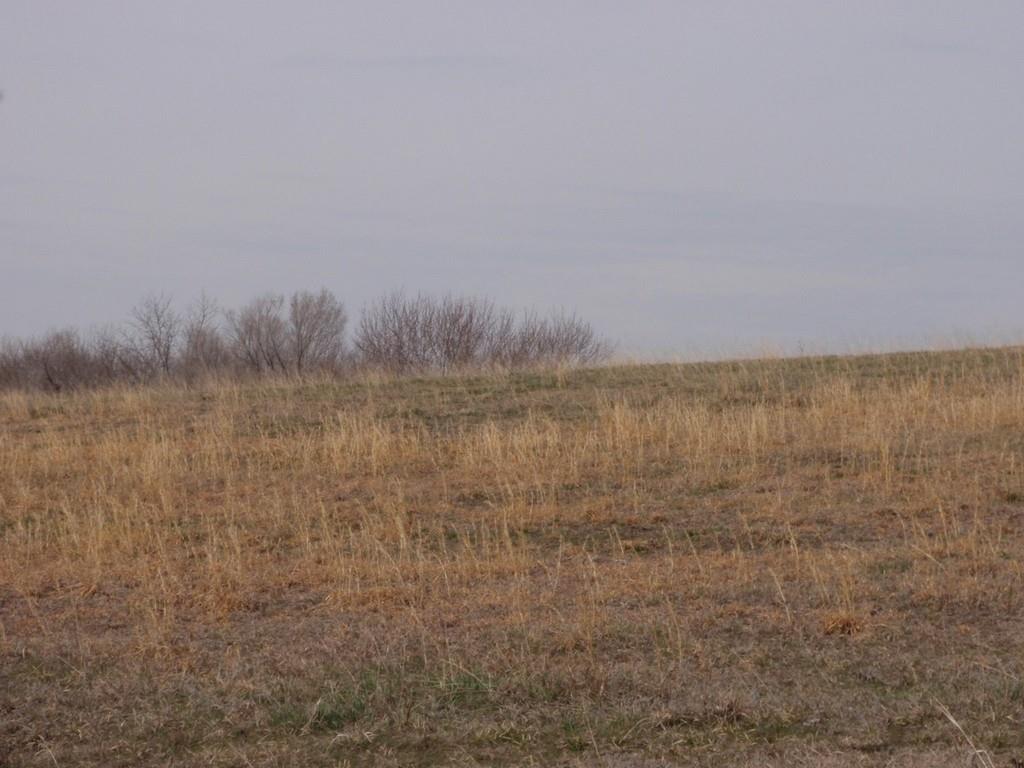 Listing Photo MLS #HMS2626514