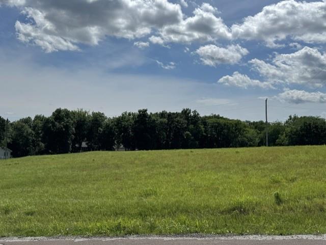 Listing Photo MLS #HMS2627037