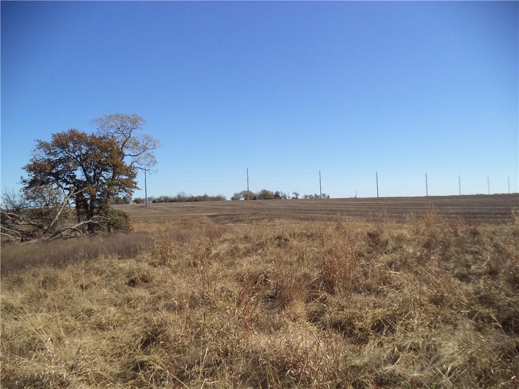 Listing Photo MLS #HMS2627202