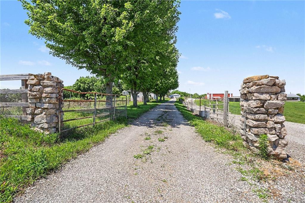 Listing Photo MLS #HMS2627434
