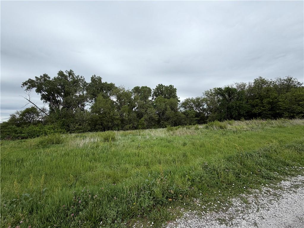Listing Photo MLS #HMS2627510
