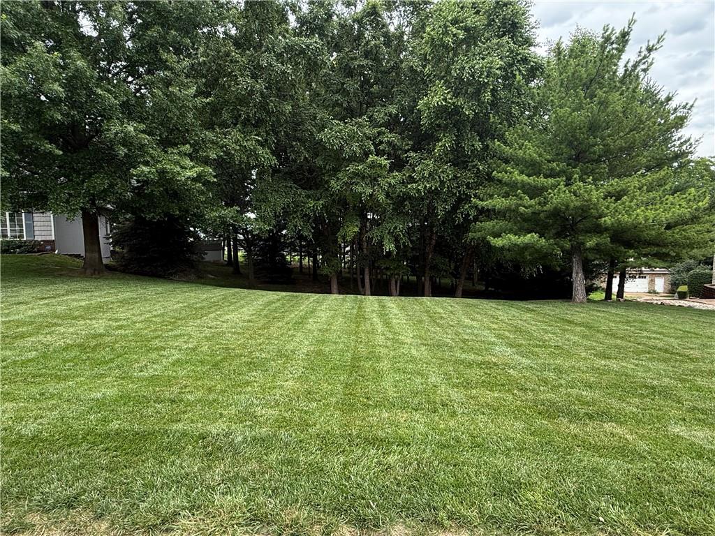 Listing Photo MLS #HMS2628284