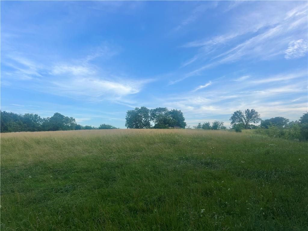 Listing Photo MLS #HMS2628595