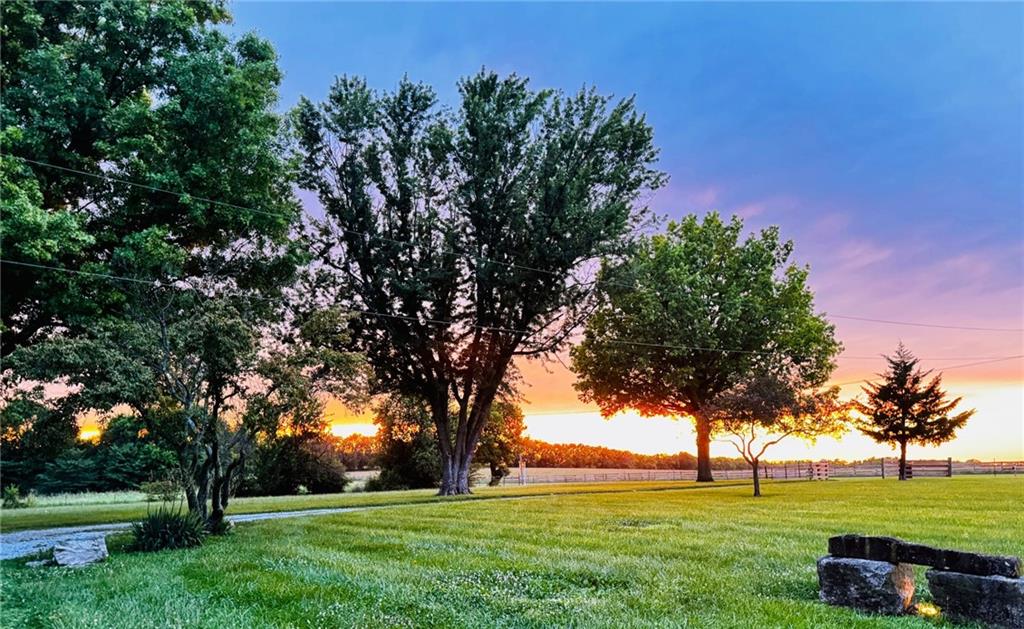 Listing Photo MLS #HMS2629141