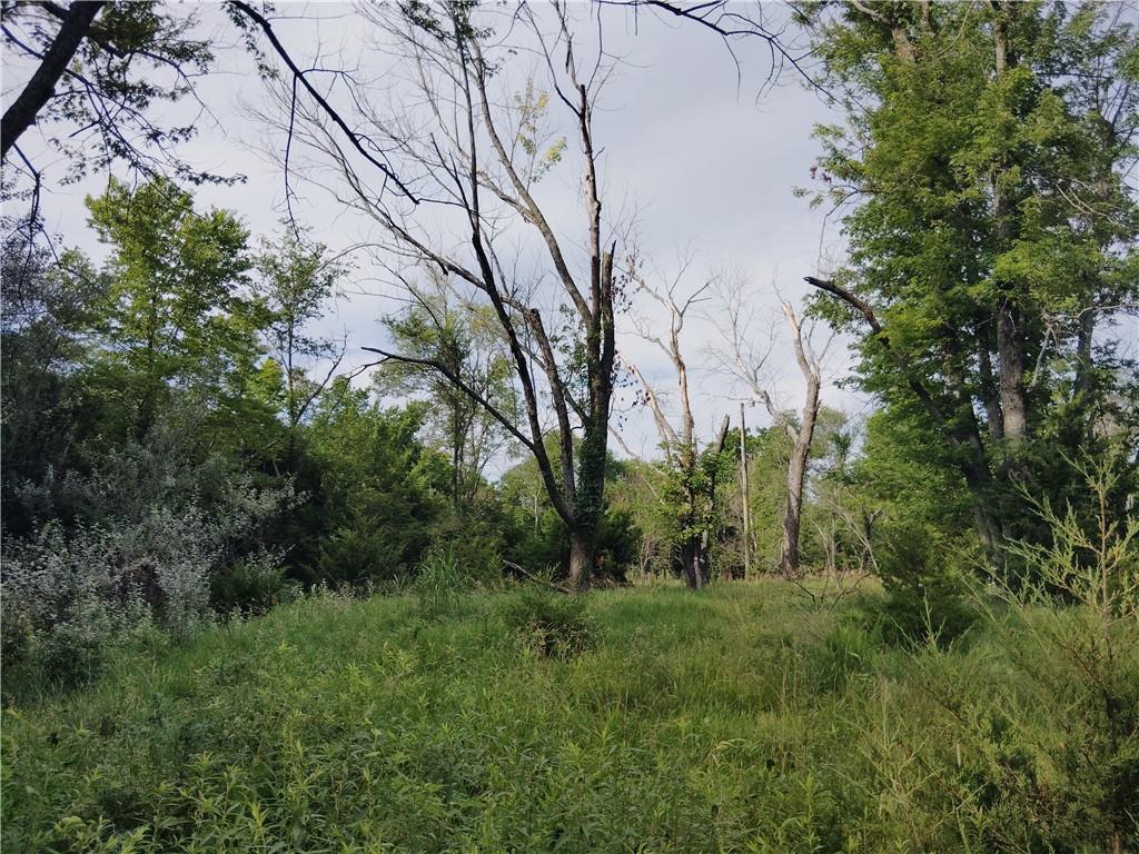 Listing Photo MLS #HMS2629390