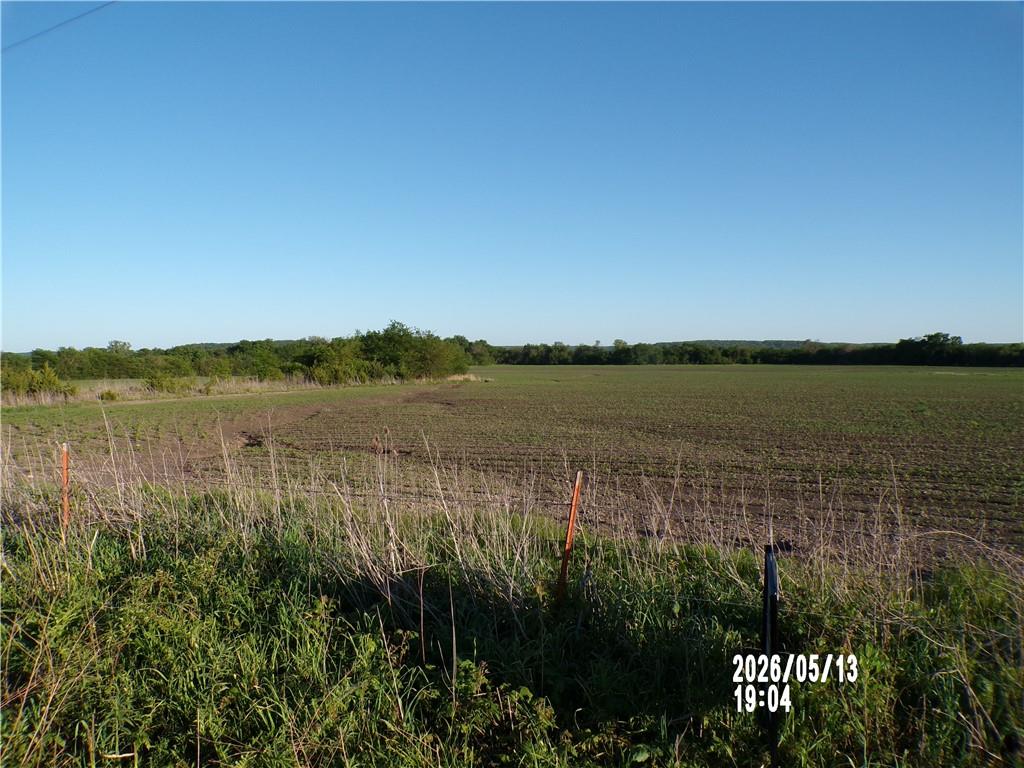 Listing Photo MLS #HMS2629468