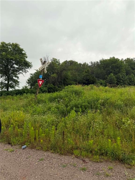 Listing Photo MLS #HMS2629524
