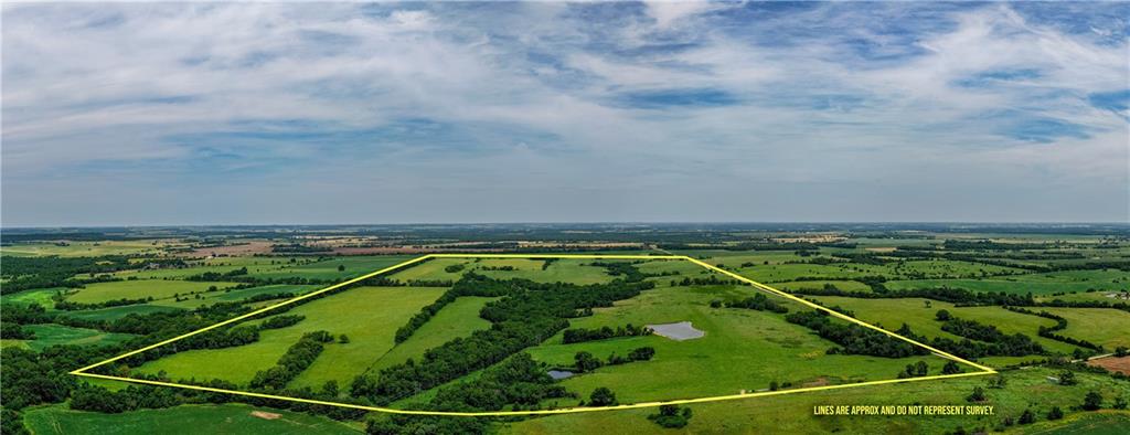 Listing Photo MLS #HMS2629535
