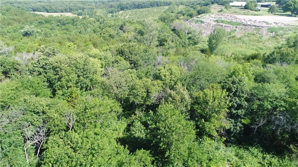 Listing Photo MLS #HMS2629721