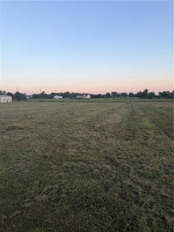 Listing Photo MLS #HMS2630337