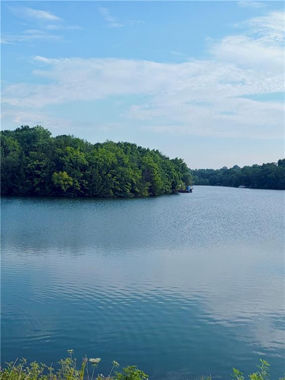 Listing Photo MLS #HMS2630520