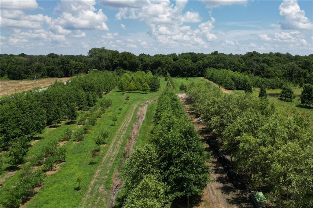Listing Photo MLS #HMS2630779