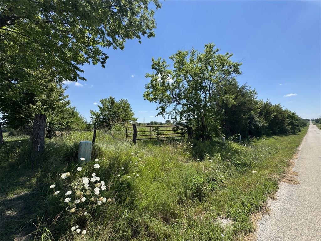 Listing Photo MLS #HMS2630854