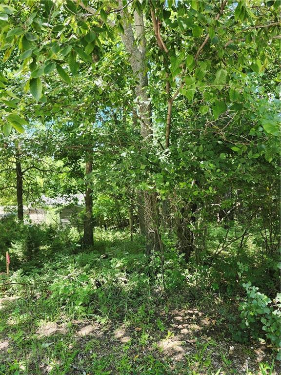 Listing Photo MLS #HMS2631000