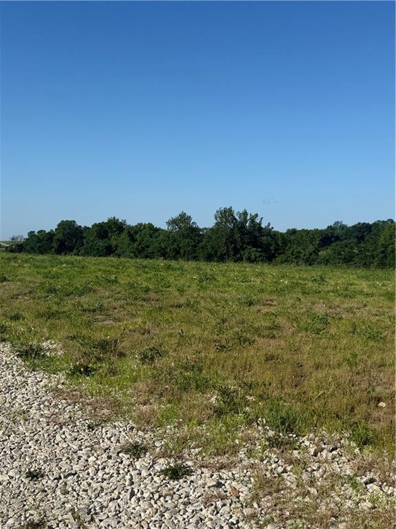 Listing Photo MLS #HMS2631788