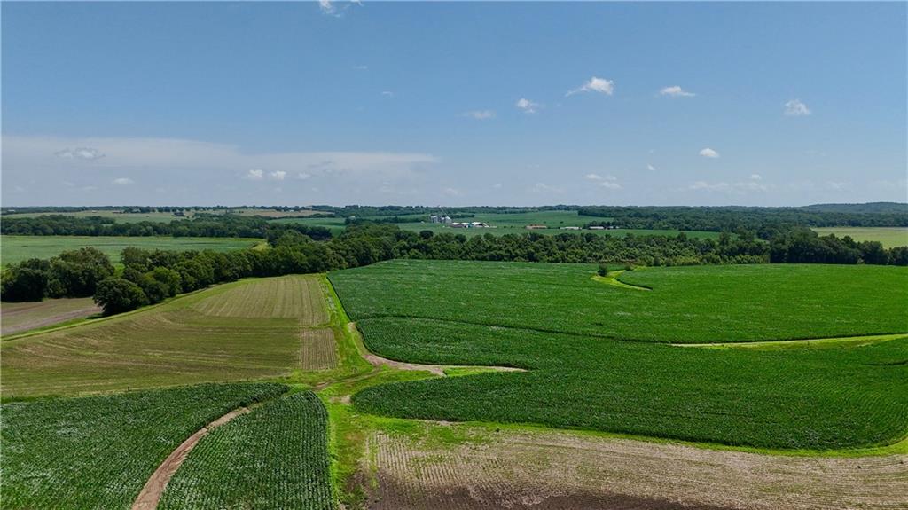 Listing Photo MLS #HMS2633702