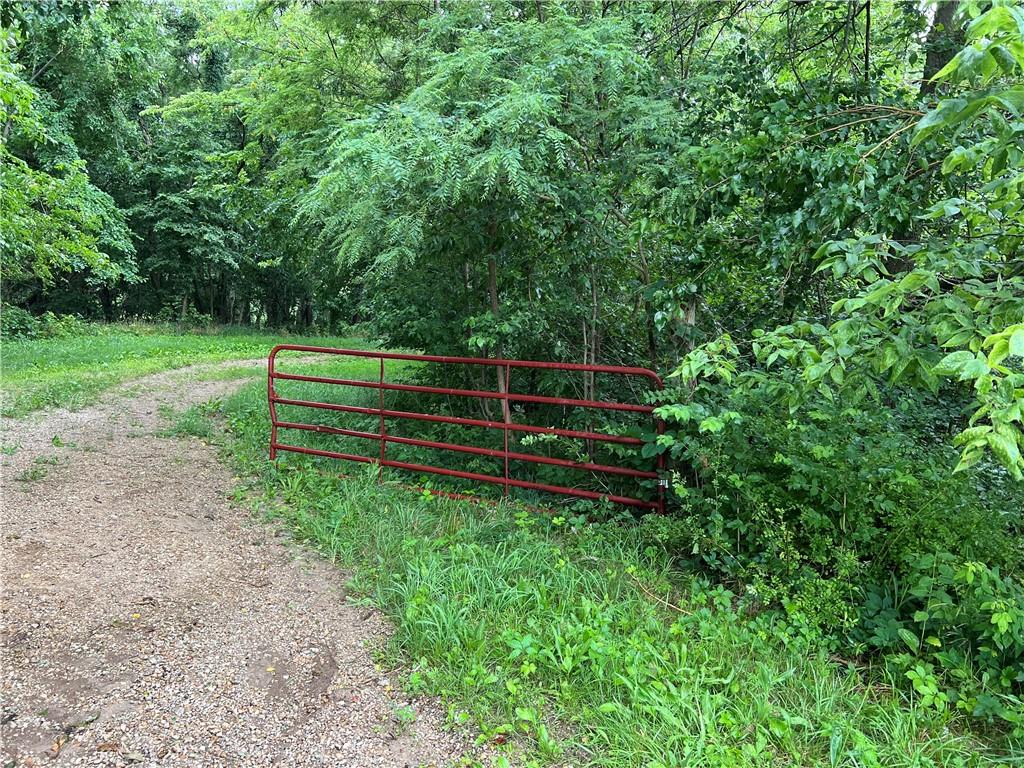 Listing Photo MLS #HMS2634004