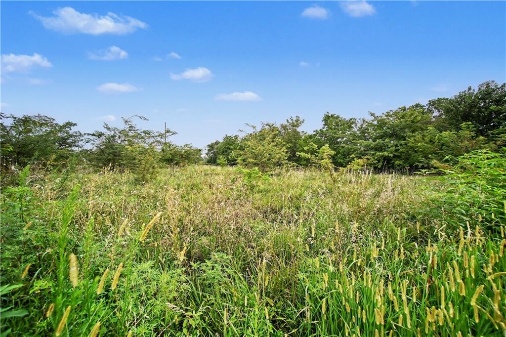 Listing Photo MLS #HMS2634295