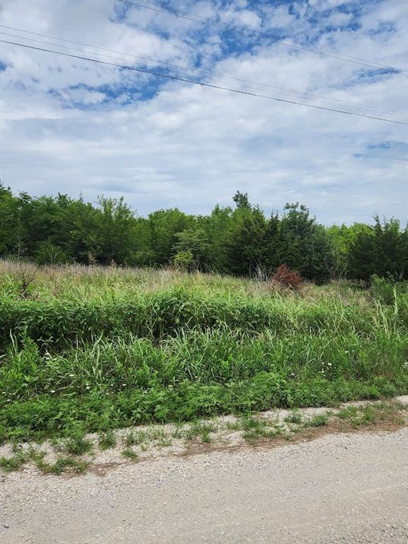 Listing Photo MLS #HMS2634423