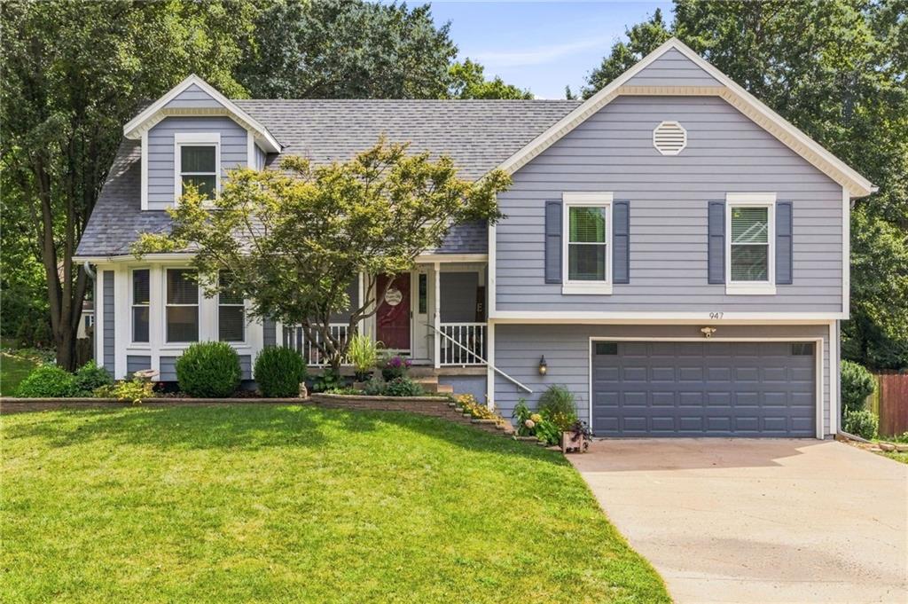 Listing Photo MLS #HMS2634689