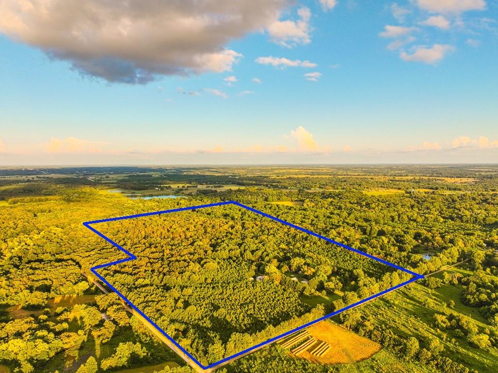 Listing Photo MLS #HMS2634733