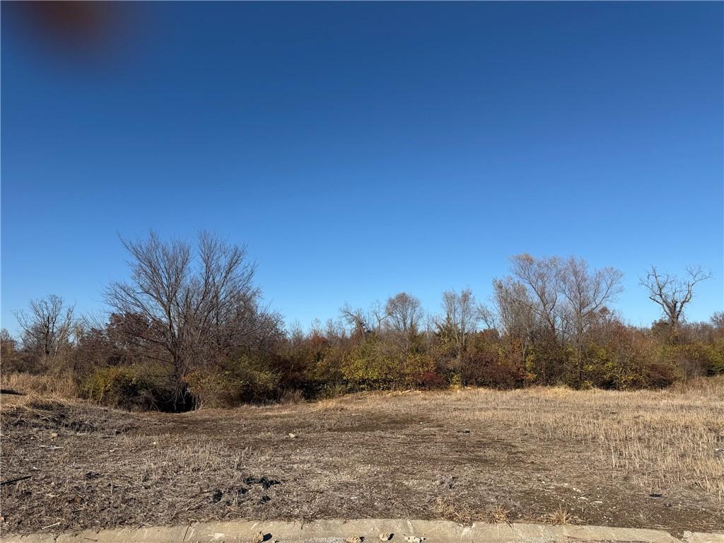 Listing Photo MLS #HMS2634823