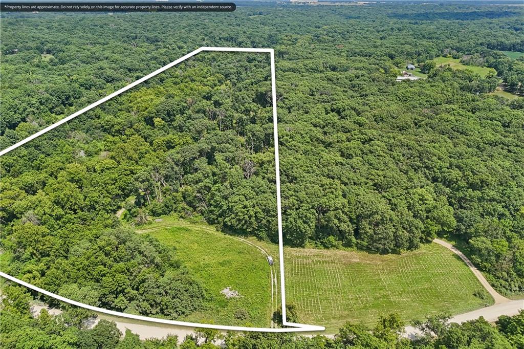 Listing Photo MLS #HMS2634858