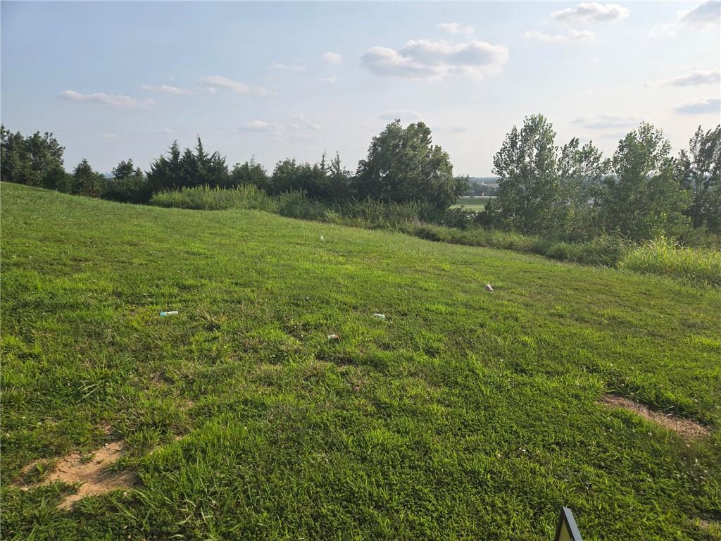 Listing Photo MLS #HMS2634967