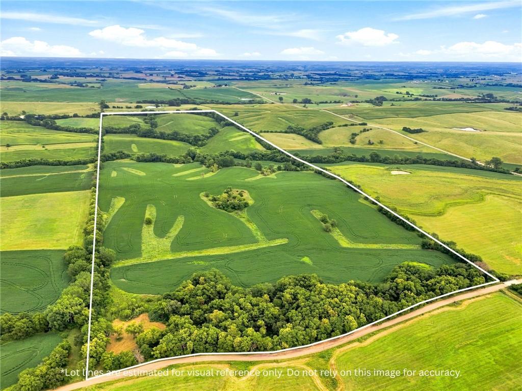 Listing Photo MLS #HMS2635013