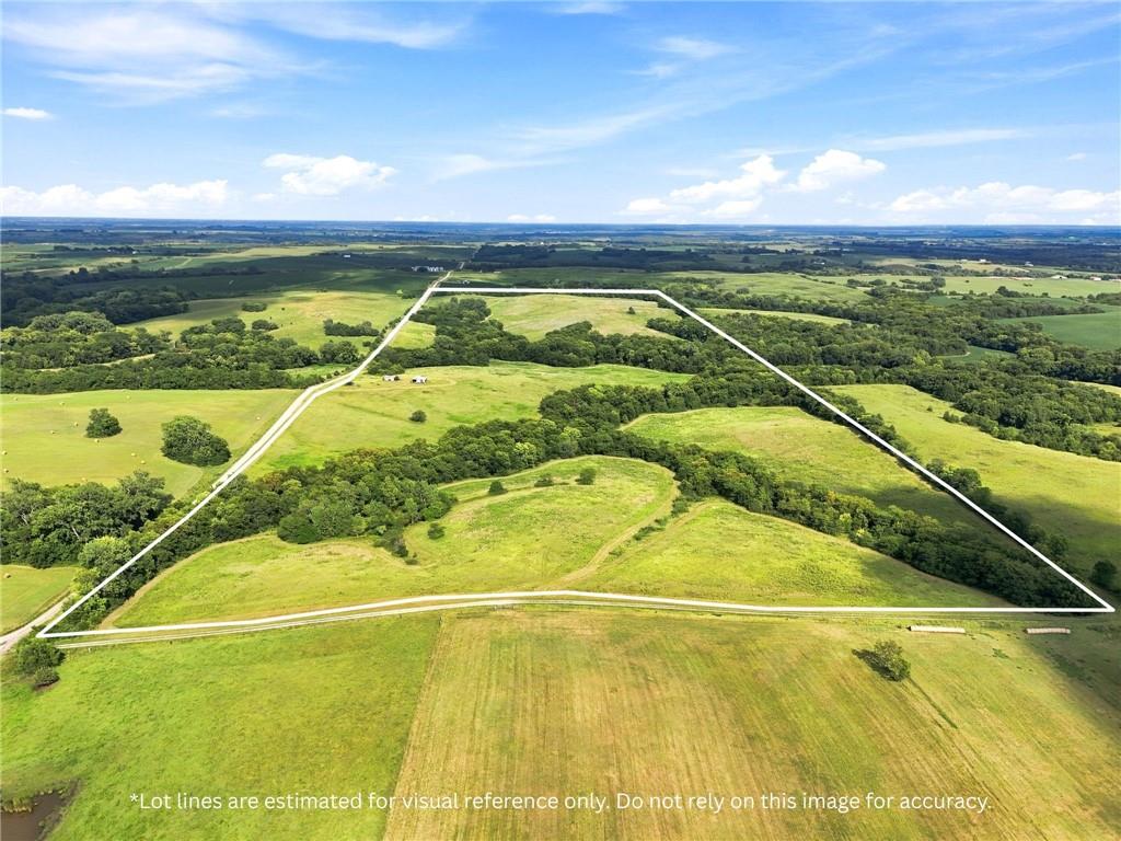 Listing Photo MLS #HMS2635016