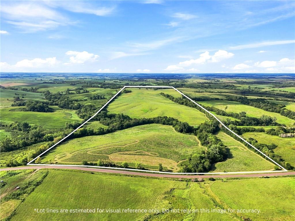 Listing Photo MLS #HMS2635017