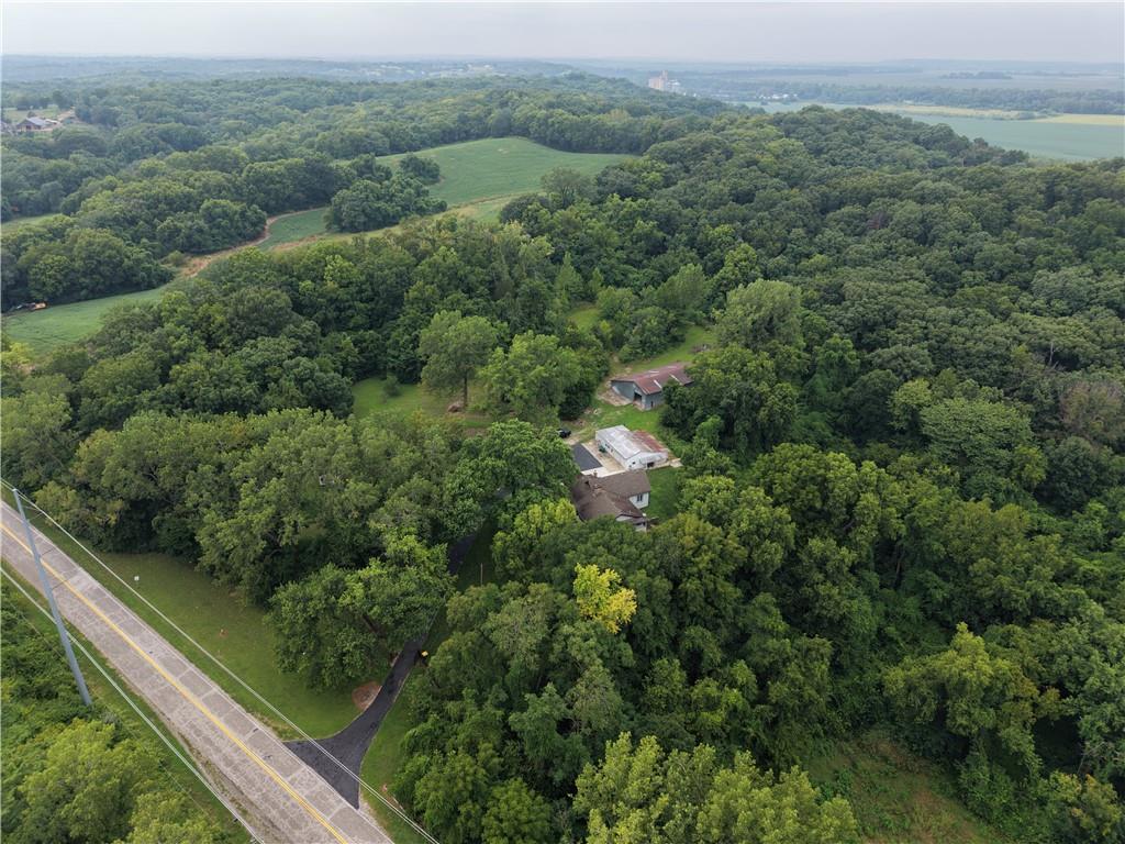 Listing Photo MLS #HMS2635068