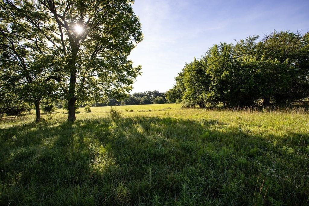 Listing Photo MLS #HMS2635159