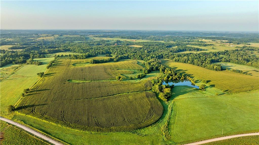 Listing Photo MLS #HMS2635317