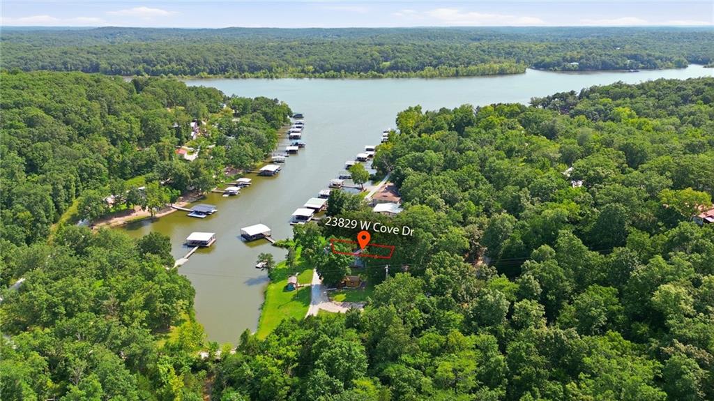 Listing Photo MLS #HMS2635356