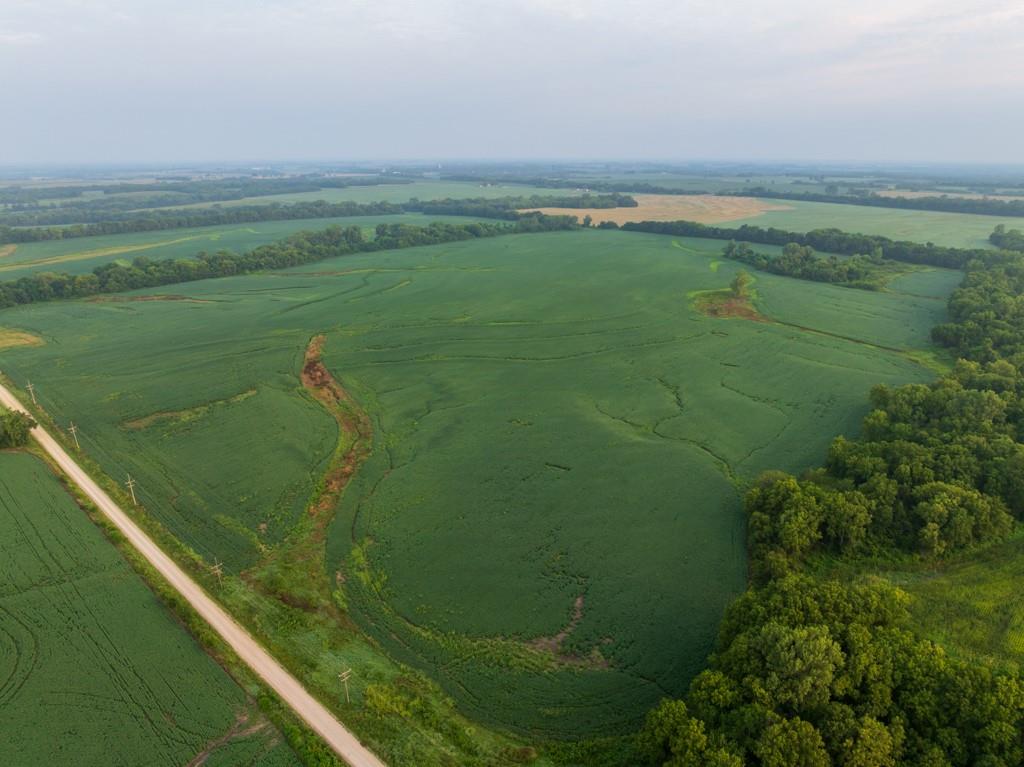 Listing Photo MLS #HMS2635632