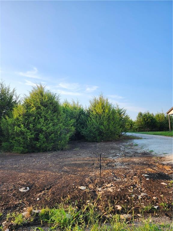Listing Photo MLS #HMS2635662